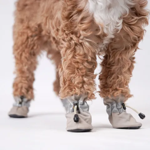 Smarte justerbare hundestøvler fra Ollipet på hund