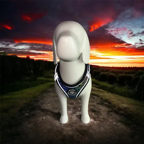 Hundesele
