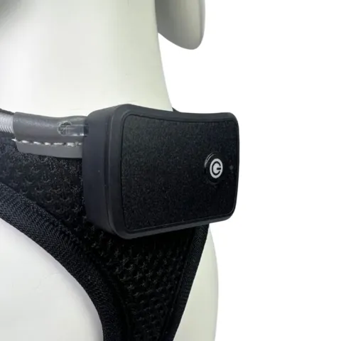 Step-in hundesele med LED-lys