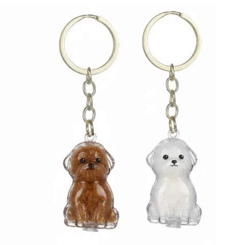 Hund nummer 4 - Puddel, doodle, Coton de Tulear, Malteser mf.