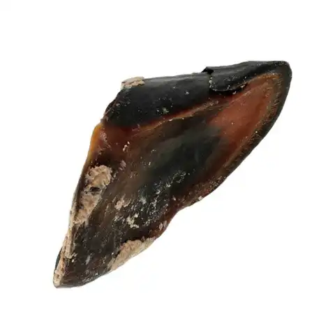 Fyldt Okseklov | 120g
