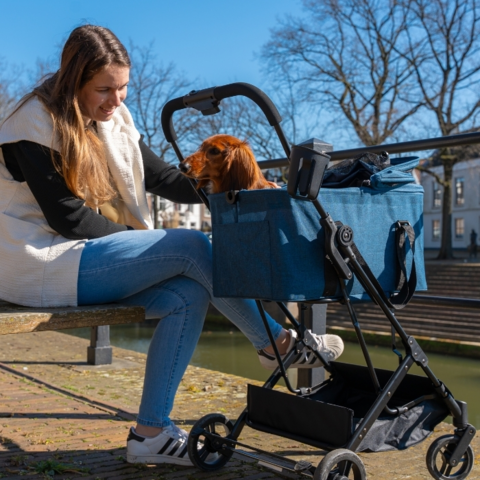 Innopet 2i1 Compact gør transport af små hunde og katte komfortabel