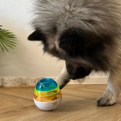 Et aktivitetsæg som kan bruges af alle størrelser hunde
