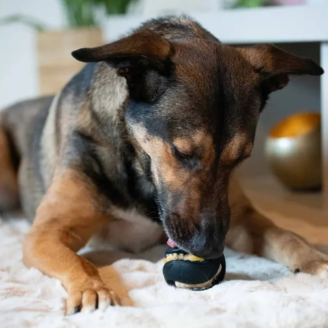Zeus Chewchasers Treat Ball | 7,5cm