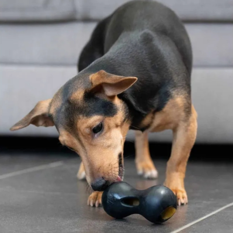 Hund aktiveres med det peanutformede legetøj fyldt med godbidder