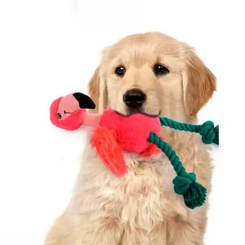 AFP Plys Flamingo her sammen med en Golden Retriver hvalp
