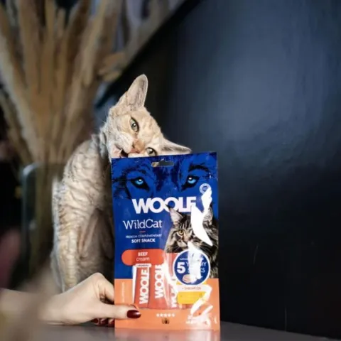 Woolf Wildcat Cream Godbid | 5 Sticks