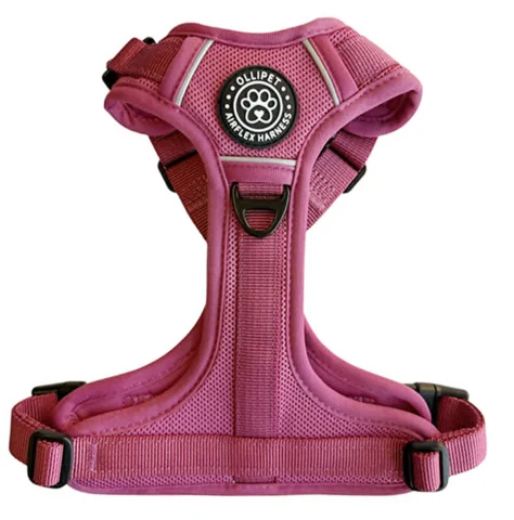 Ollipet for wagging tails | Airflex hundesele Sweet Cherry