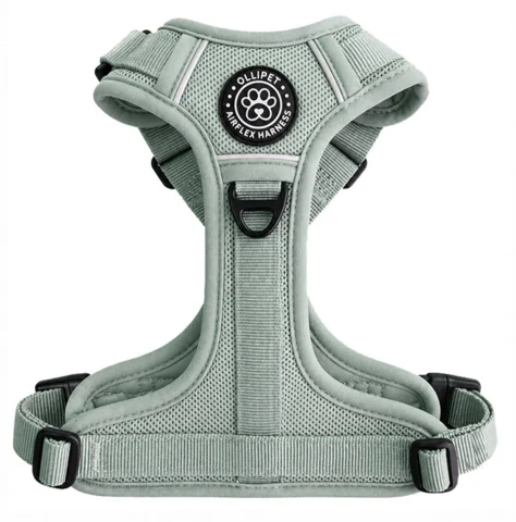 Ollipet for wagging tails | Airflex hundesele Clody Blue