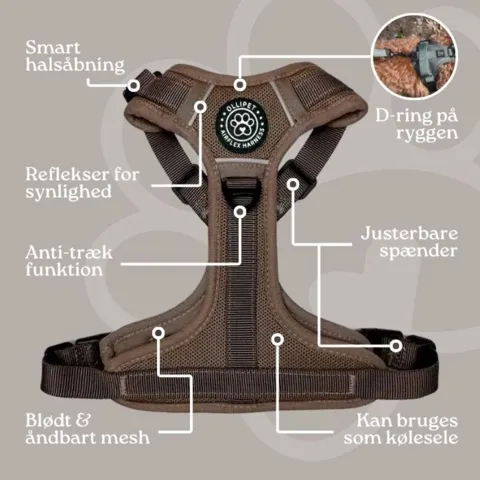 Ollipet For Wagging Tails | Airflex hundesele