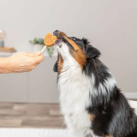 En lækker tyggepind udformet som en hjerteslikkepind til hunde