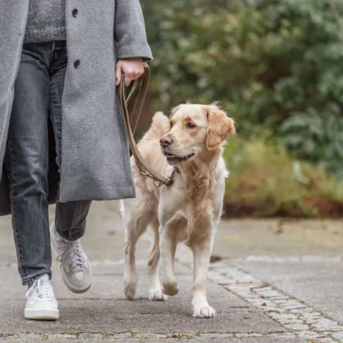Justerbar Trixie Pure Hundesnor