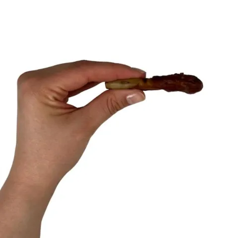BBQ Chop with Chicken 8 cm set fra siden i hånd