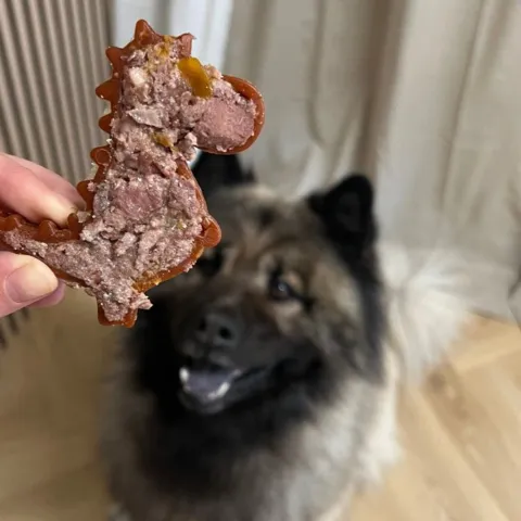 Pakketilbud | Fyldbare Dino Hundesnacks & Vådfoder med Lam