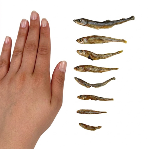 Ozami Dog Snack Dried Smelt | 50g
