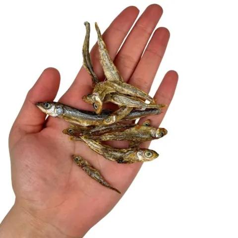 Ozami Dog Snack Dried Smelt | 50g