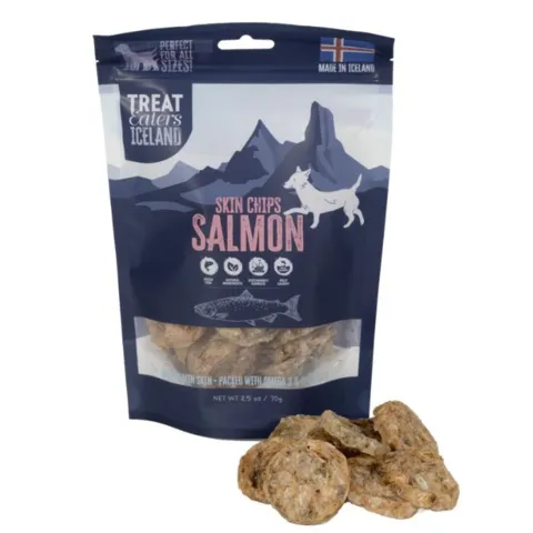 Treateaters Iceland Salmon Skin Chips | 70g