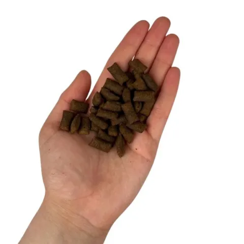 Faunakram kattegodbidder med okse torsk og malt sprød snack i hånden