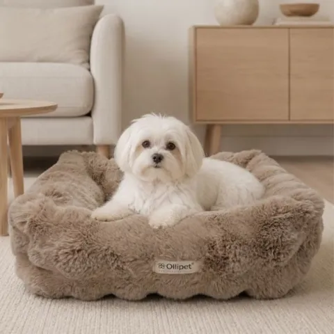 Ollipet Wave hundekurv i Smuk Khaki farve