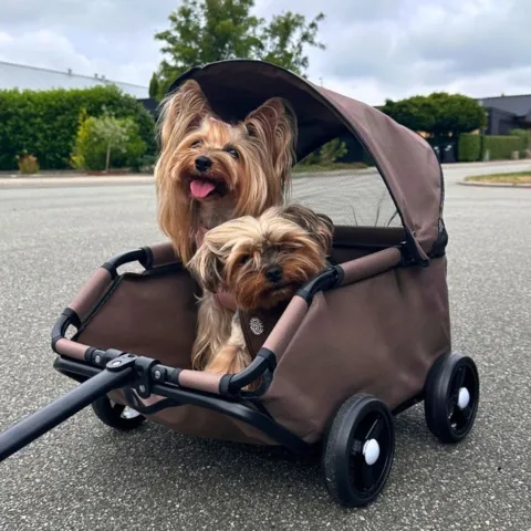 Trækvognen kan også have plads til to små hunde