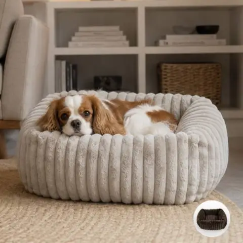 Ollipet Bella Bloom Lounge hundekurve | Flere farver