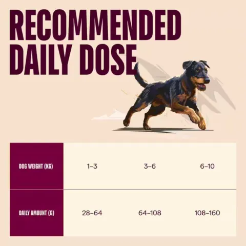 Anbefalet daglig fodermængde til voksne hunde af små racer