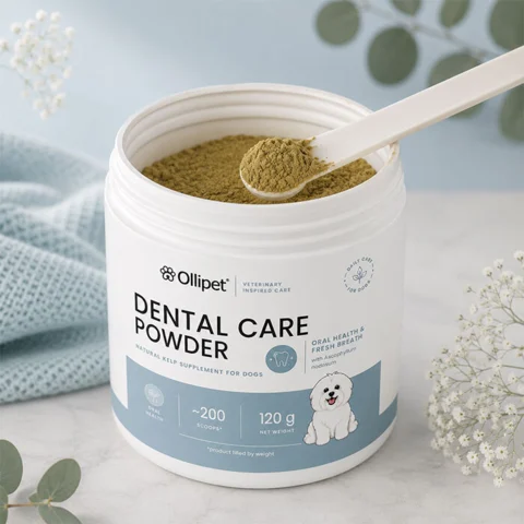 Ollipet Dental Care Powder | 120g