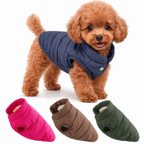 Ollipet dynejakke med teddy-fleece fór