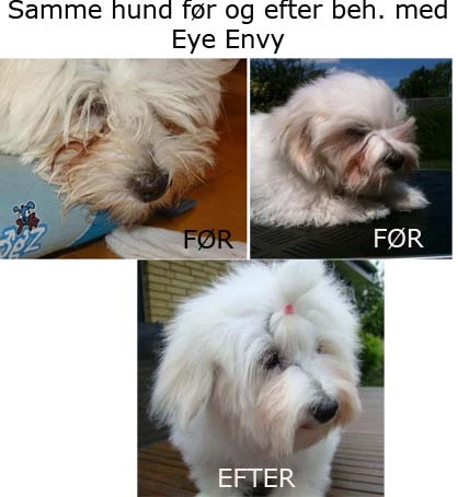 Eye Envy Tear Stain Remover Starters Pack