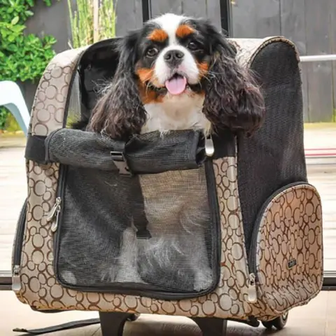 Doogy Rejse Rygsæk til hunde