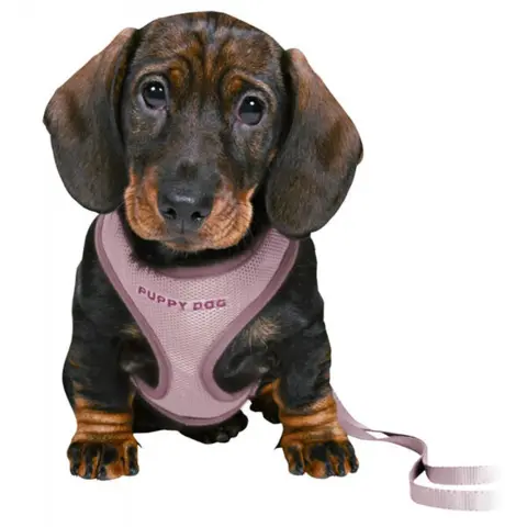 Trixie Puppy Dog hvalpesele og line