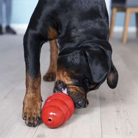 Kong Original str. XXL