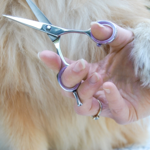 Ollipet Exclusive groomingsaks 5,5"