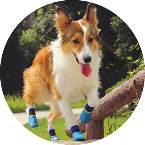 Outdoor waterproof pet socks - kort skaft