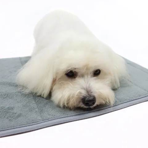 Ollipet Vandabsorberende Memoryfoam bademåtte