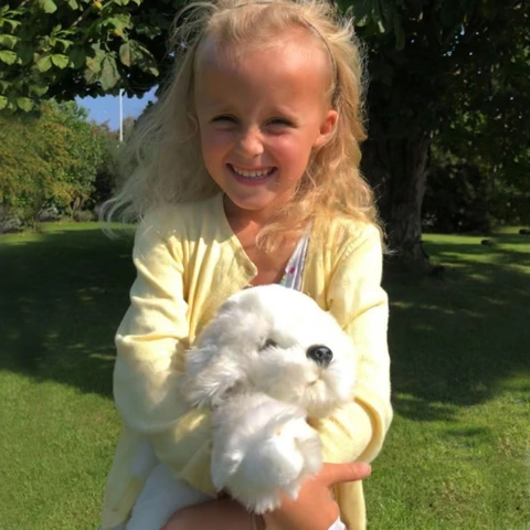 Coton de Tulear /Bichon Frise bamse/Ollie