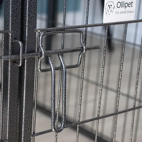 Ollipet hvalpegård i kraftig hammerlak
