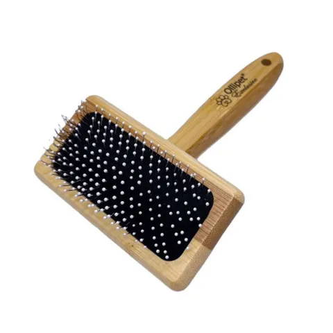 Ollipet Exclusive Bambus Karte