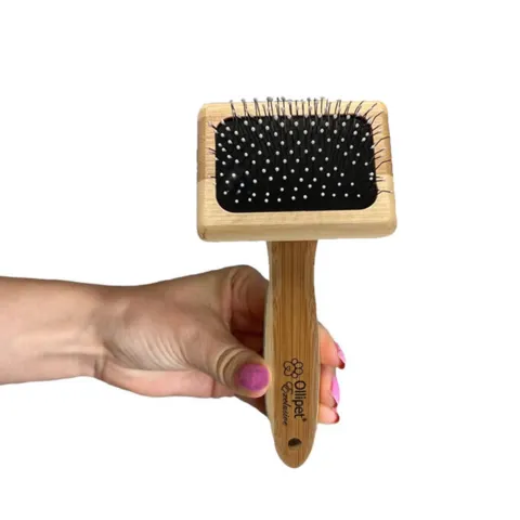 Ollipet Exclusive Bambus Karte
