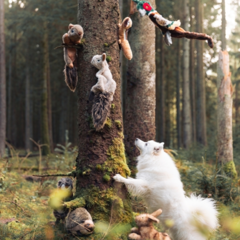 Vi har flere naturtro bamser