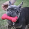 Cooling Bone | Naturgummi