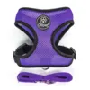 Ollipet sele og line sæt| Mesh | Lilla