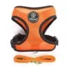 Ollipet sele og line sæt| Mesh | Orange