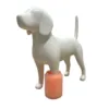 Ollipet Poterenser