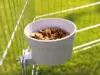 Crock Jumbo skål til tremmebur