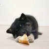 Kalveklove er et lækker ganveben til alle hunde