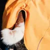 Hurtta Expedition Parka I plads til halen