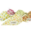 Ollipet Frugt Bandana