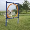 Trixie Agility Ring