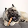 Yaki snacks tyggeben Kenai er en lækker hundesnack